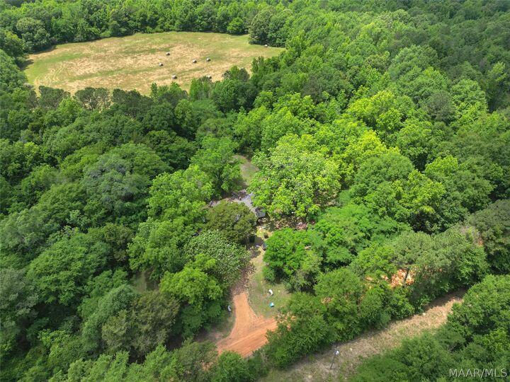 Property Photo:  503 Hopewell Cemetery Road  AL 36042 