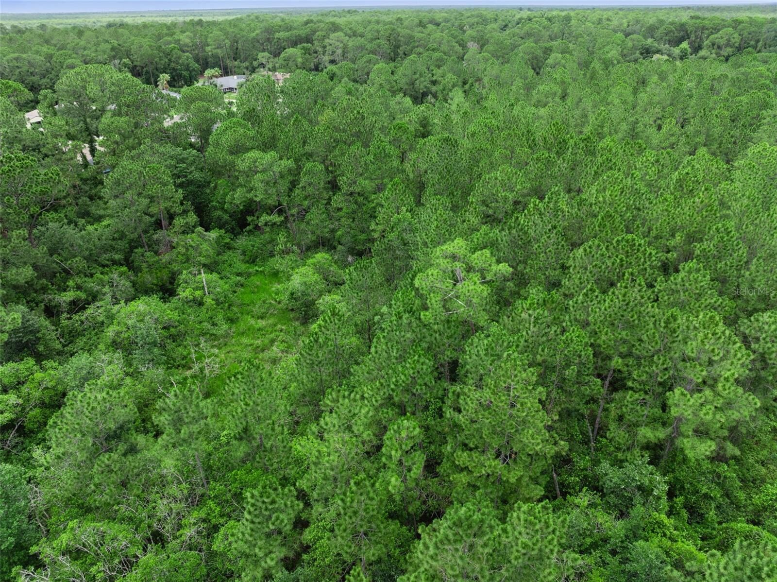 Property Photo:  35 Fyfe Avenue  FL 32713 