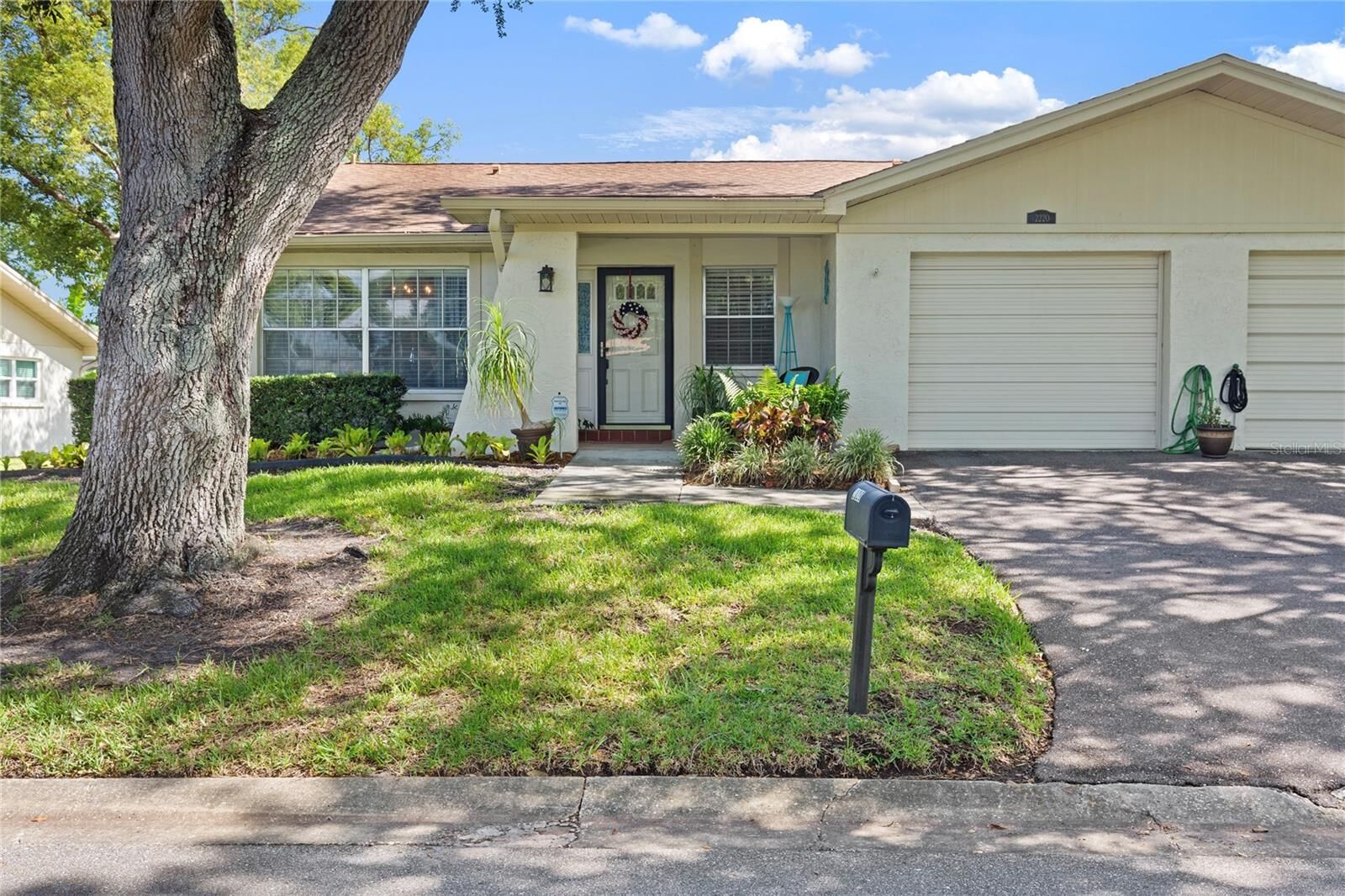 Property Photo:  2220 Marshall Drive  FL 34698 
