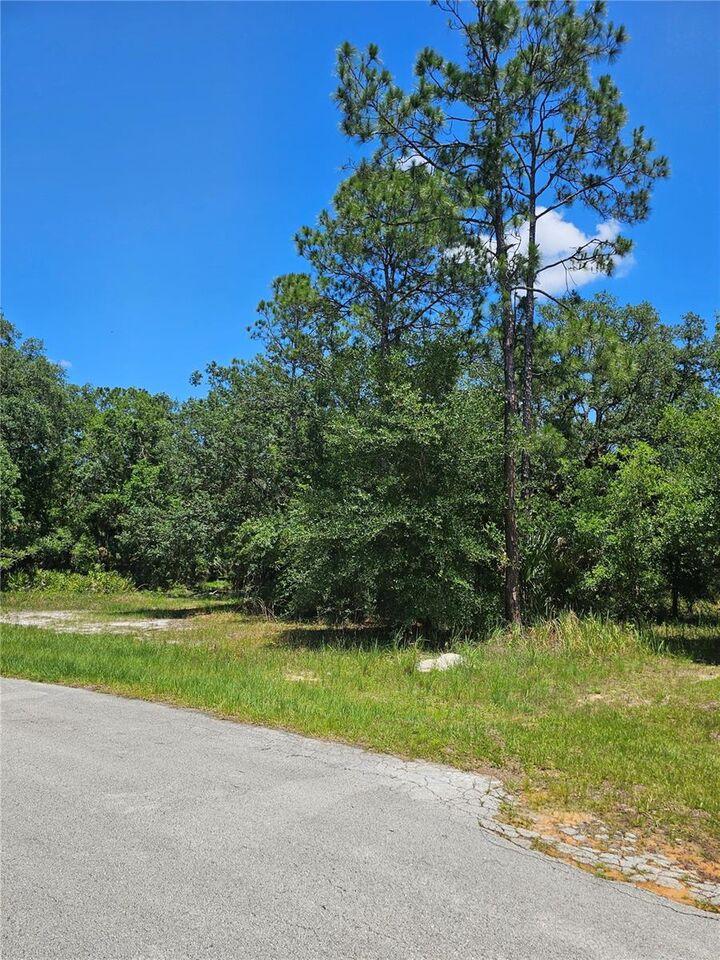 Property Photo: 223 Starling Court FL 34759