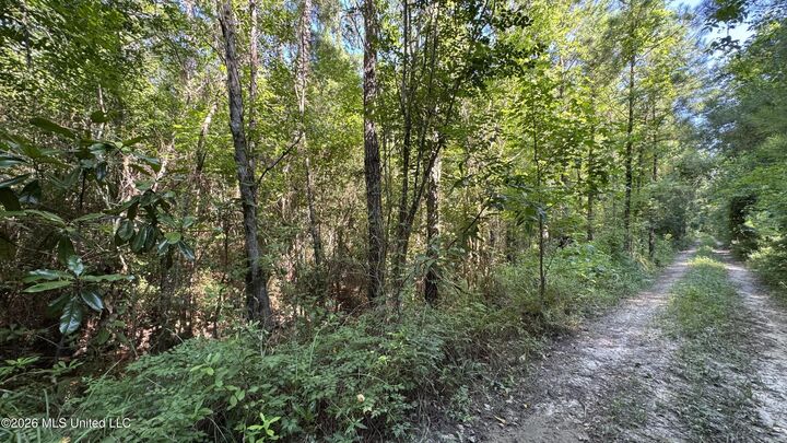 Property Photo: Lot 2,3, 5 Riverside Drive MS 39532