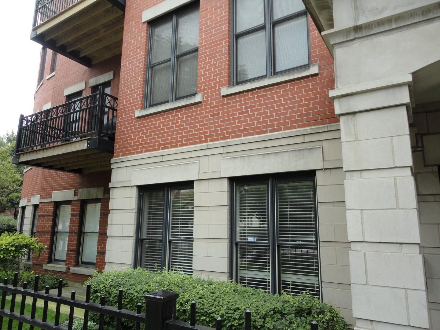 Property Photo: 807 W 14th Place 1B IL 60608