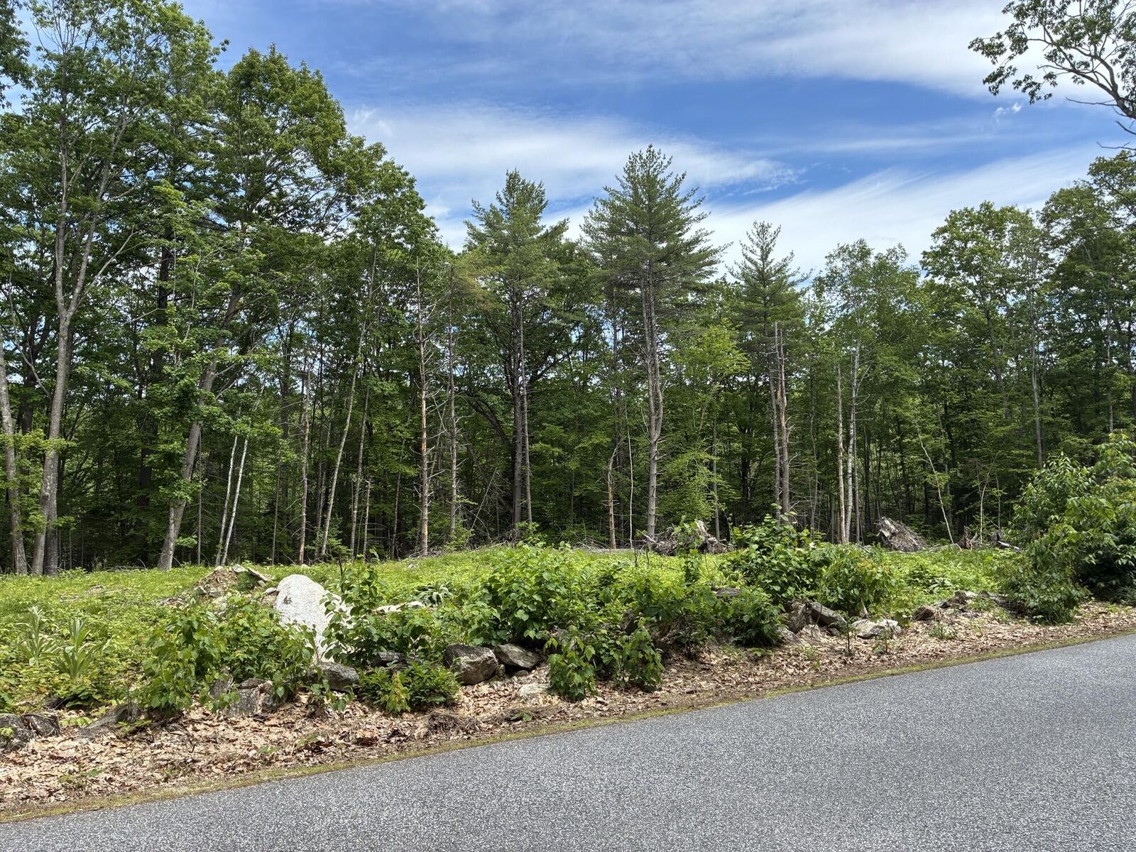 Property Photo:  Map7lot40 Round The Pond Road  ME 04268 