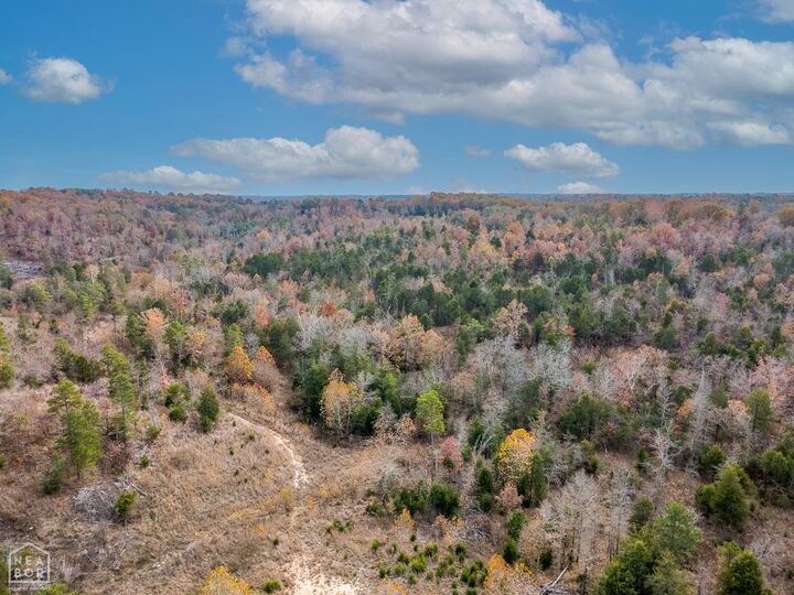 Property Photo: 0 Kerley Point Cove Road AR 72531