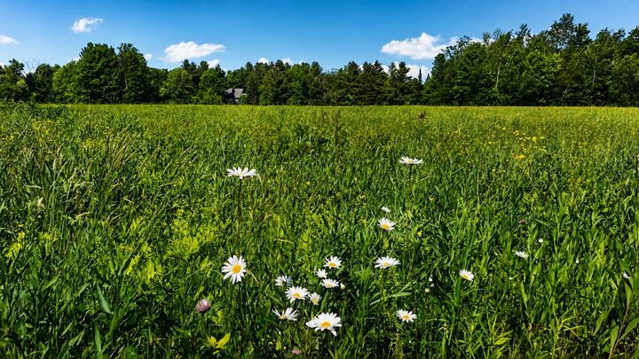 Property Photo: 237 Loop Road VT 05859