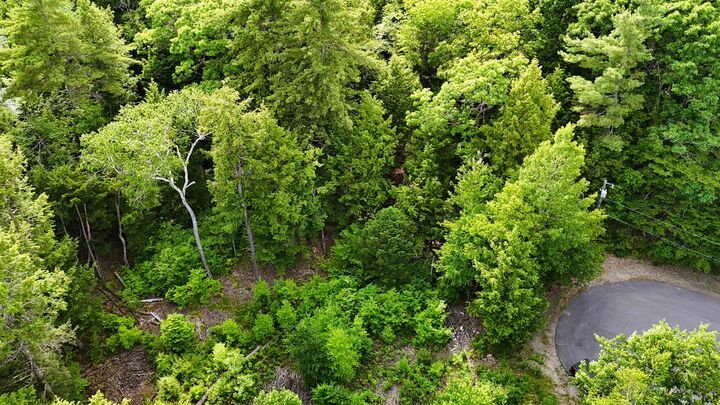 Property Photo:  00 Forrest Drive  NH 03455 