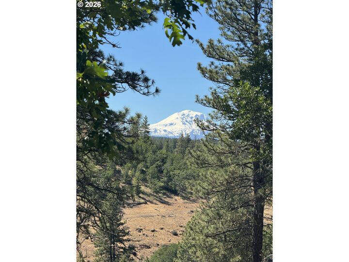 Property Photo:  Zelinski Rd  WA 98620 