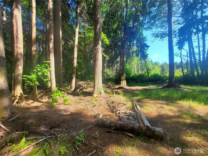 Property Photo: 46 A North Shore Place WA 98550