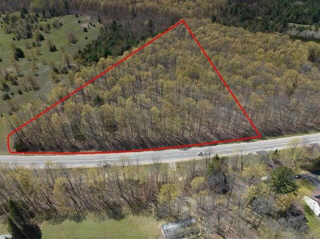 Property Photo: Parcel 3&Amp4 S M-66 MI 49659