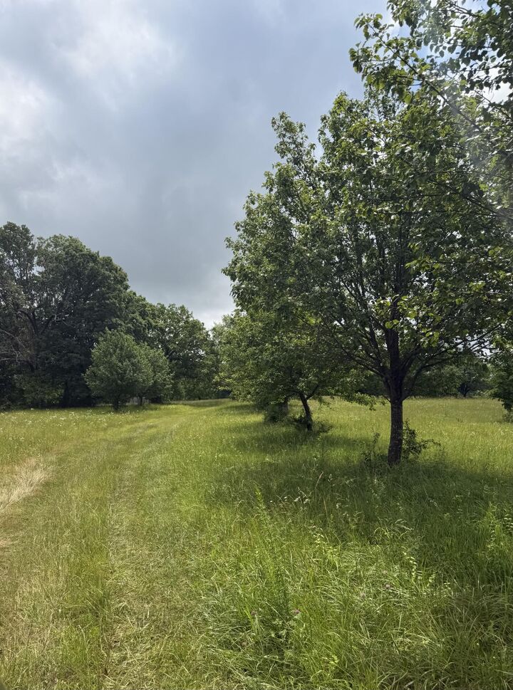 Property Photo: 1510 State Highway Z MO 65620