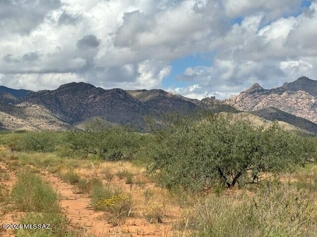 Property Photo:  Tbd E Hagan Street 12  AZ 85625 