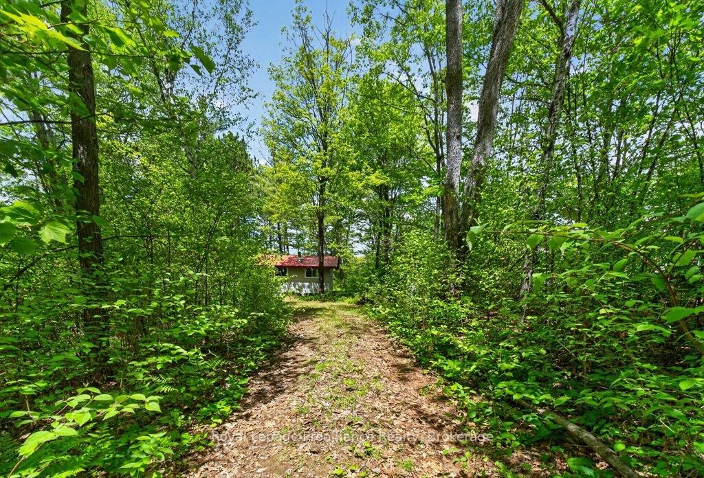 Property Photo: 2485 Alf's Bay Lane ON K0H 1B0