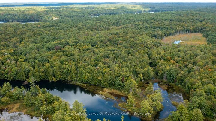 Property Photo:  0 Muskoka River N/A  ON P1L 0K3 