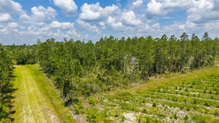 Property Photo: 0 Bell Road FL 32046