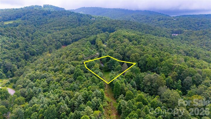 Property Photo:  572 Blue Ridge Gem Stone Road  NC 28777 