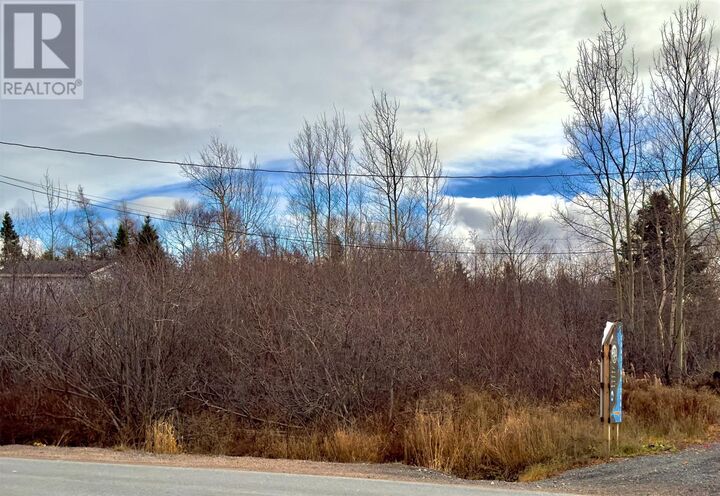 Property Photo:  298 Trinity Drive  NL A5A 0L5 