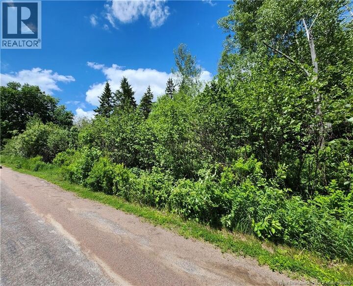 Property Photo:  Lot Old Albert Mines  NB E4H 1S1 