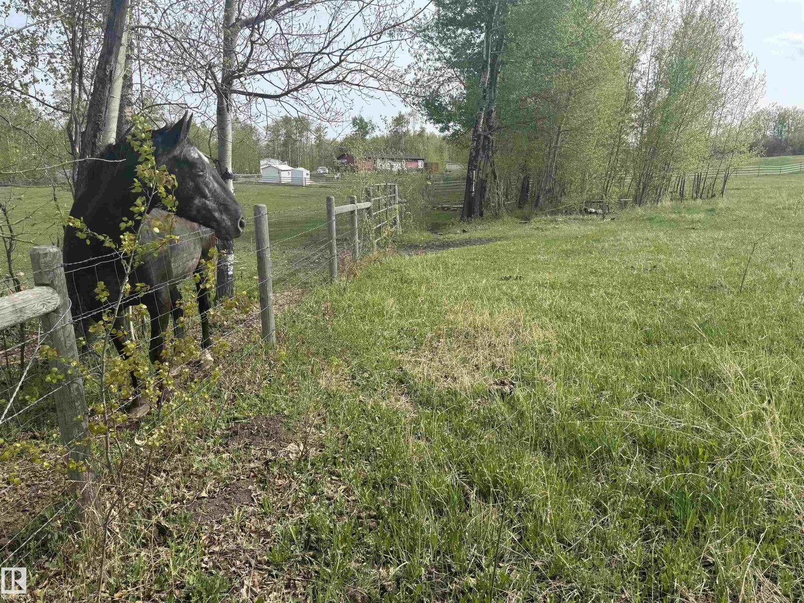 Property Photo:  281029 Hwy 616  AB T0C 2C0 