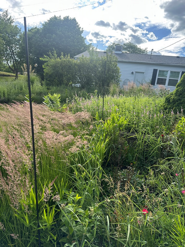 Property Photo:  1320 13th Ave N  IA 50501 
