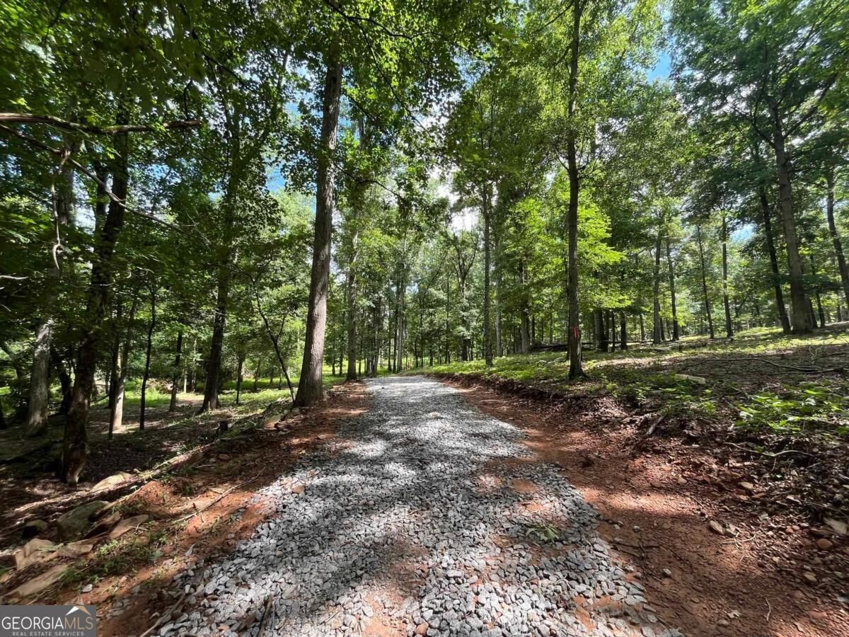 Property Photo:  20 +/- Ac Crooked Creek Road  GA 31024 