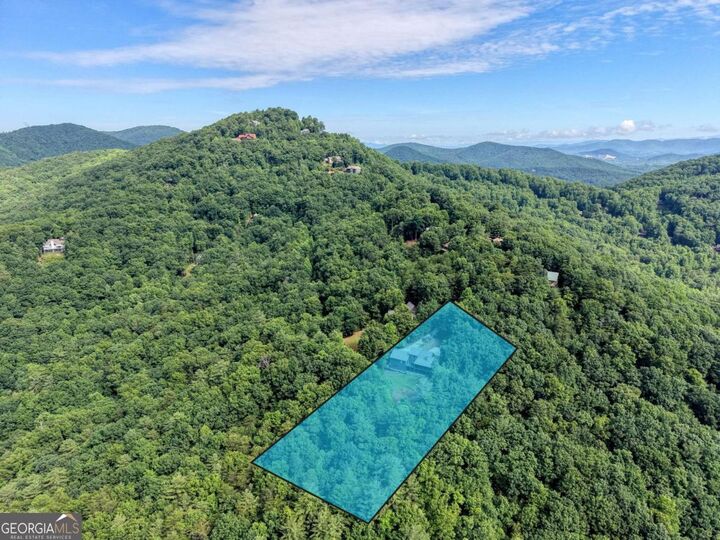 Property Photo:  237 Flat Rock Ridge Road  GA 30512 