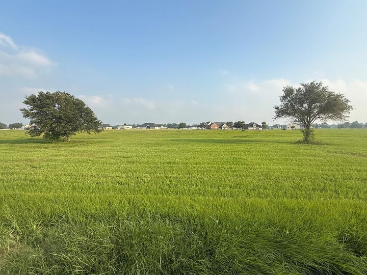 Property Photo: 3211 Pearce Drive TX 77583