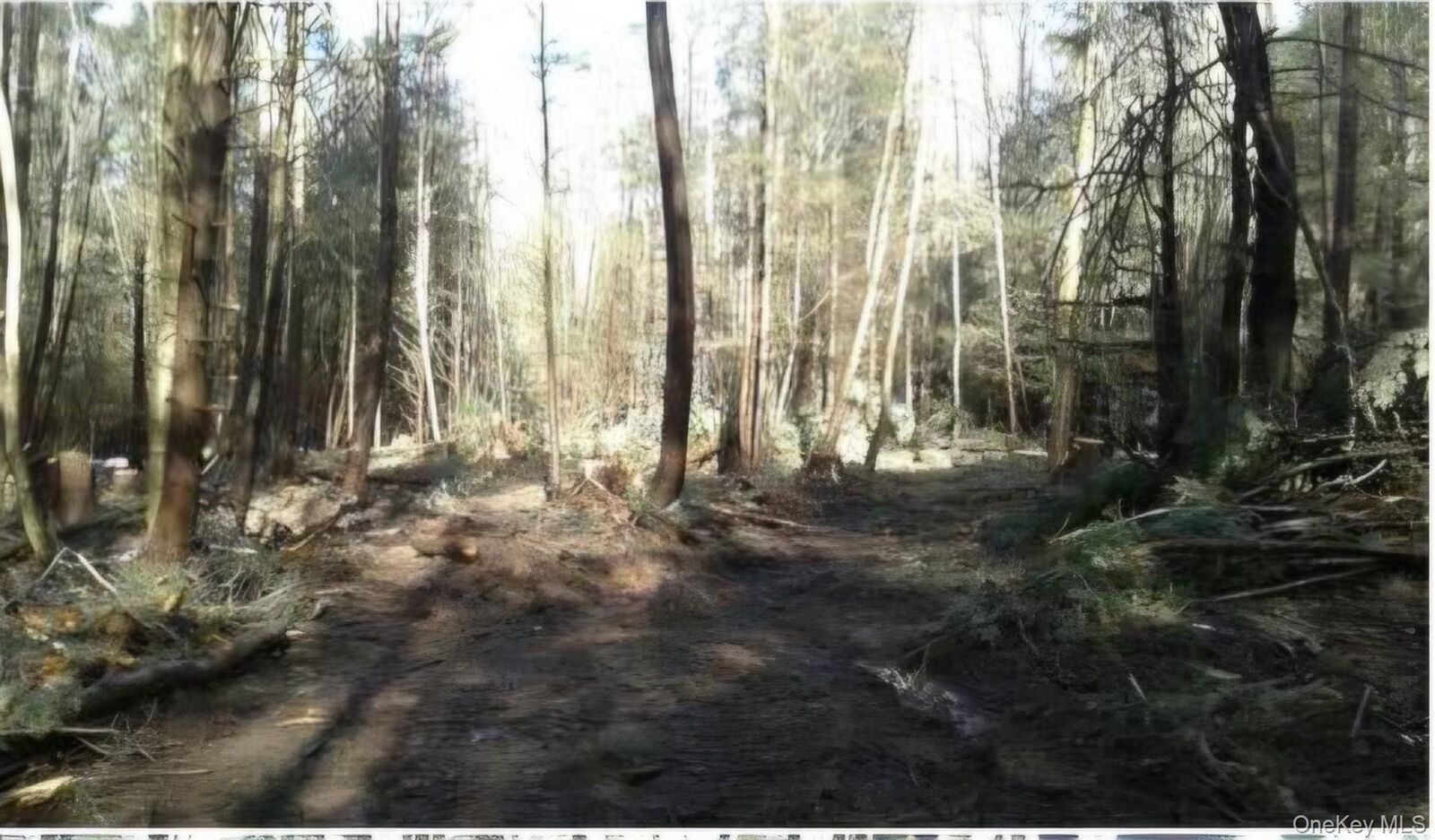 Property Photo: 24-12 Parks Rd NY 12787