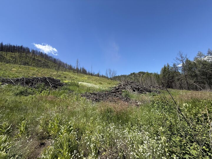 Property Photo: Tbd 4th Of July Creek Rd WA 99121