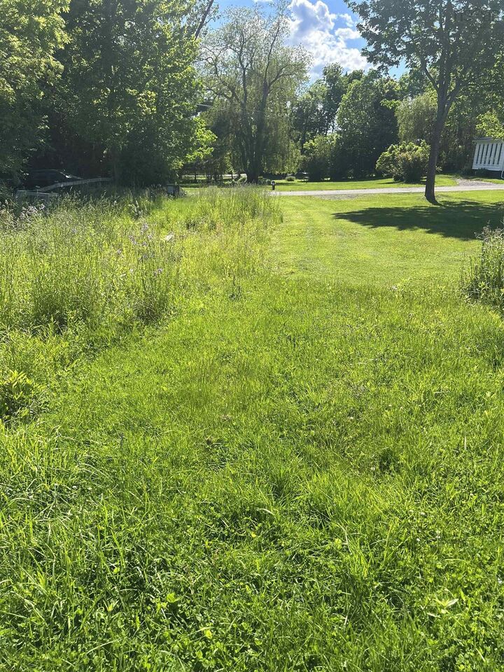 Lot Taylor Street — photo 1