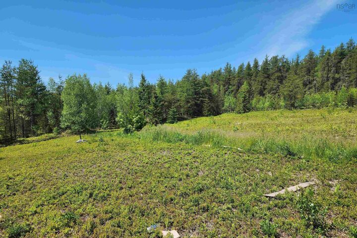Property Photo:  342 Reid Settlement Road  NS B0M 1X0 