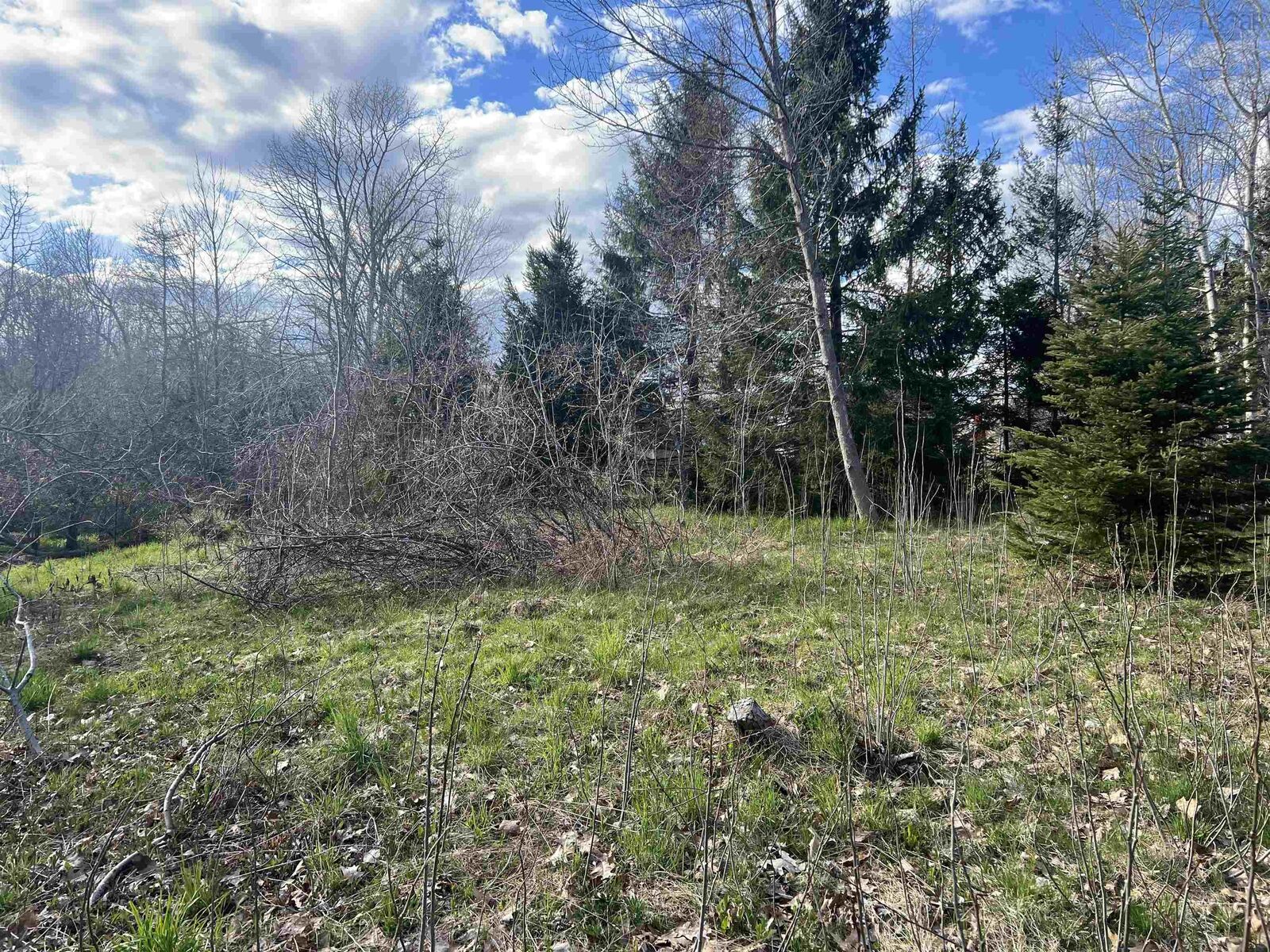 Property Photo:  Lot 2-1-B Seaview Cemetary Road  NS B0K 1H0 