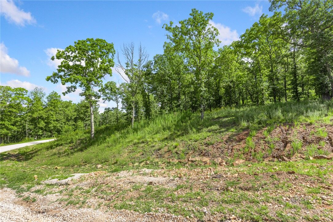Property Photo:  Lot 22 Restore Ridge  AR 72601 
