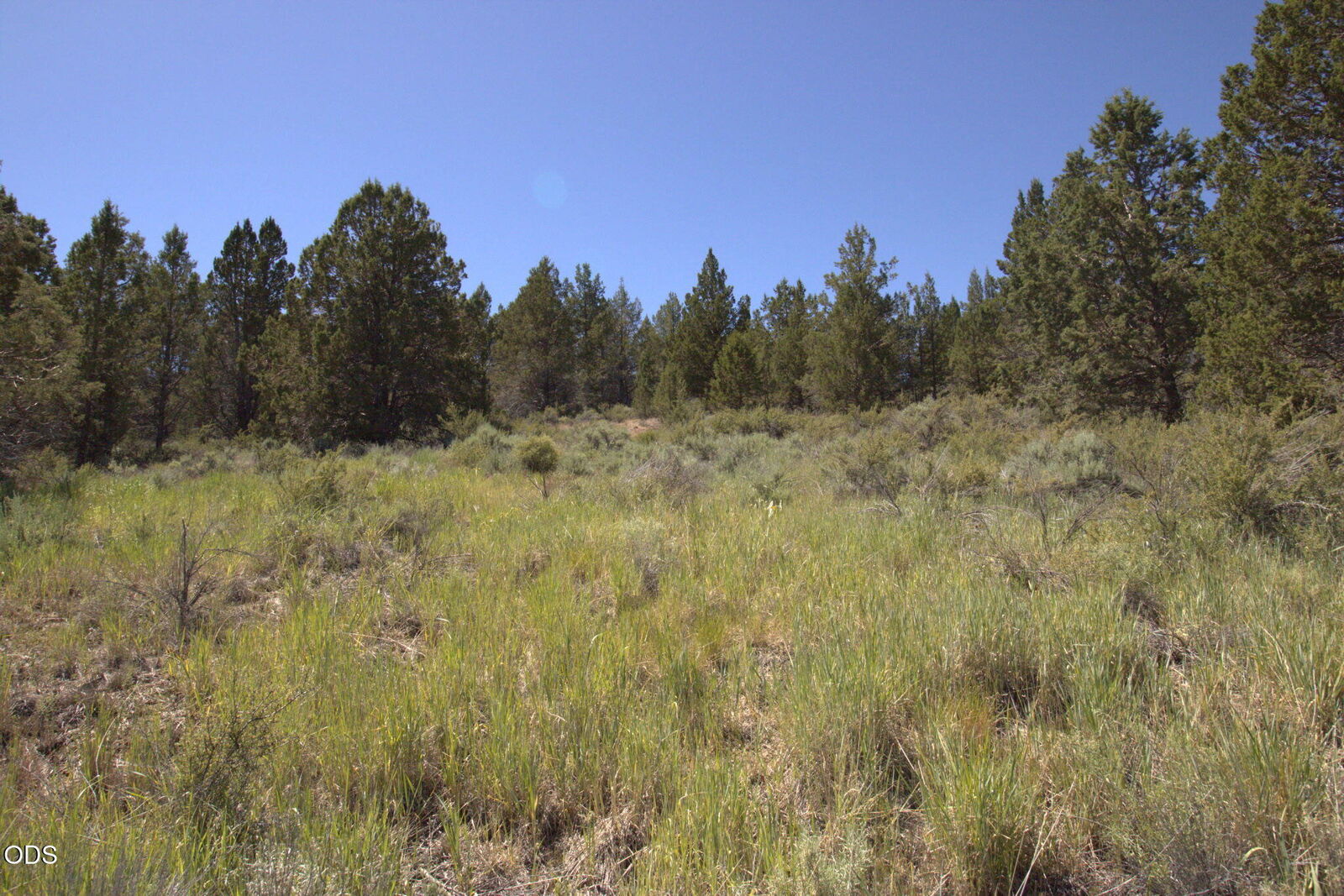 Property Photo: Wasco Street Lot 3 OR 97639