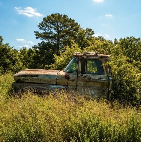 Property Photo: 1029 Bear Hollow Road MO 64856