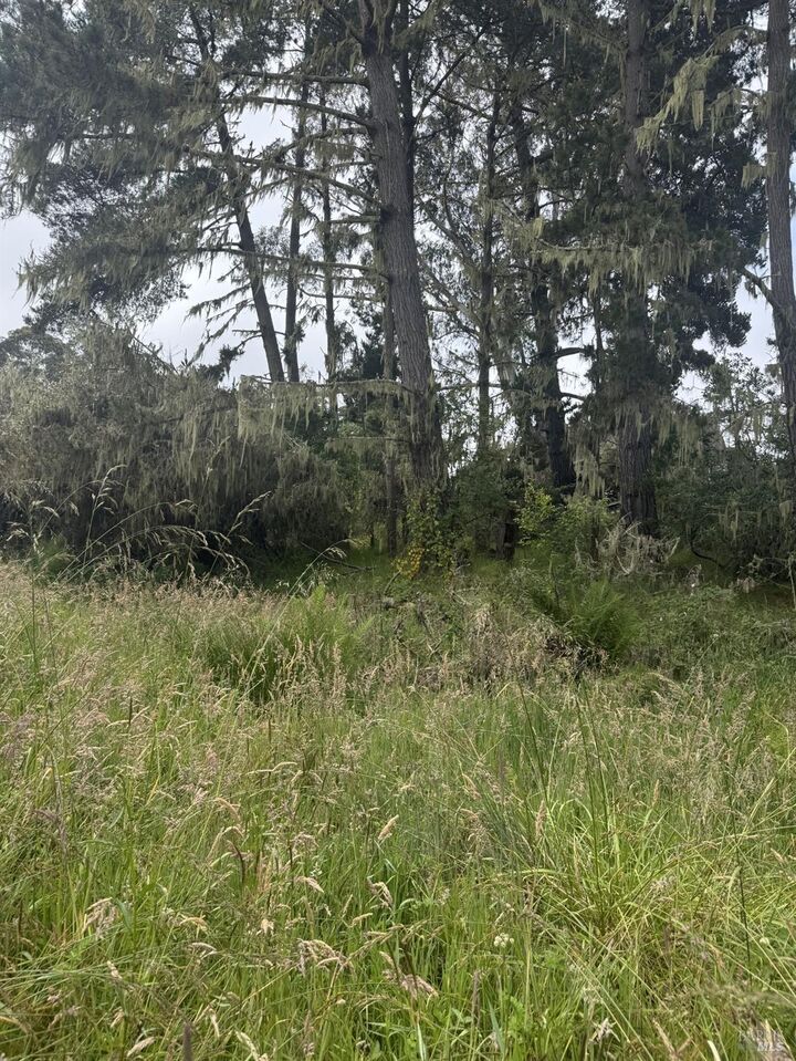 Property Photo:  241 A Alder Road  CA 94924 
