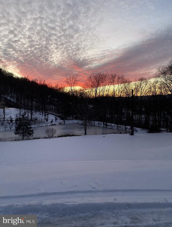 Property Photo:  1729 Buck Mountain Road  VA 22610 