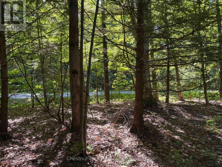 Property Photo:  1493 Golden Beach Road  ON P1L 1W8 