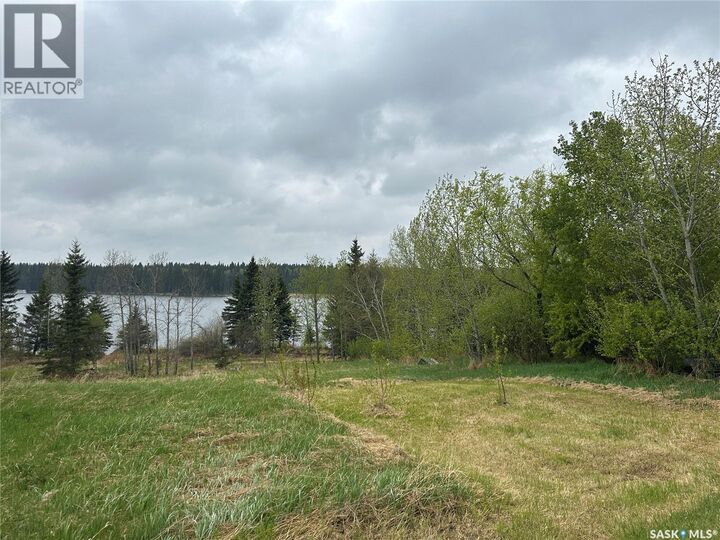 Property Photo:  5&6 1st Avenue N  SK S0J 0E0 
