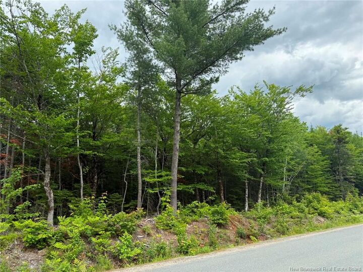 Property Photo:  Lot 4 Hansen Road  NB E1V 3M2 