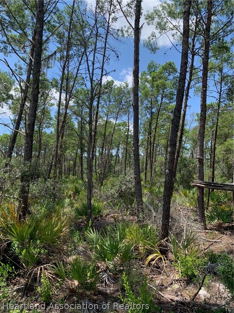 Property Photo:  7633 Yumuri Street  FL 33872 