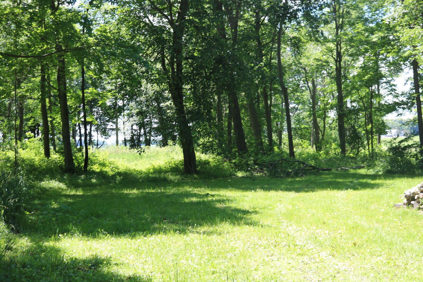 Property Photo: Lt1 5 Mile Rd WI 53098