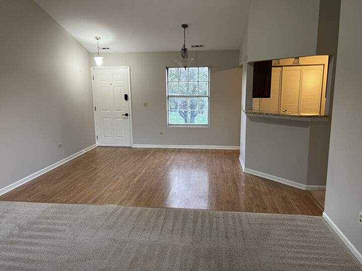 Property Photo: 385 Sandhurst Circle 4 IL 60137