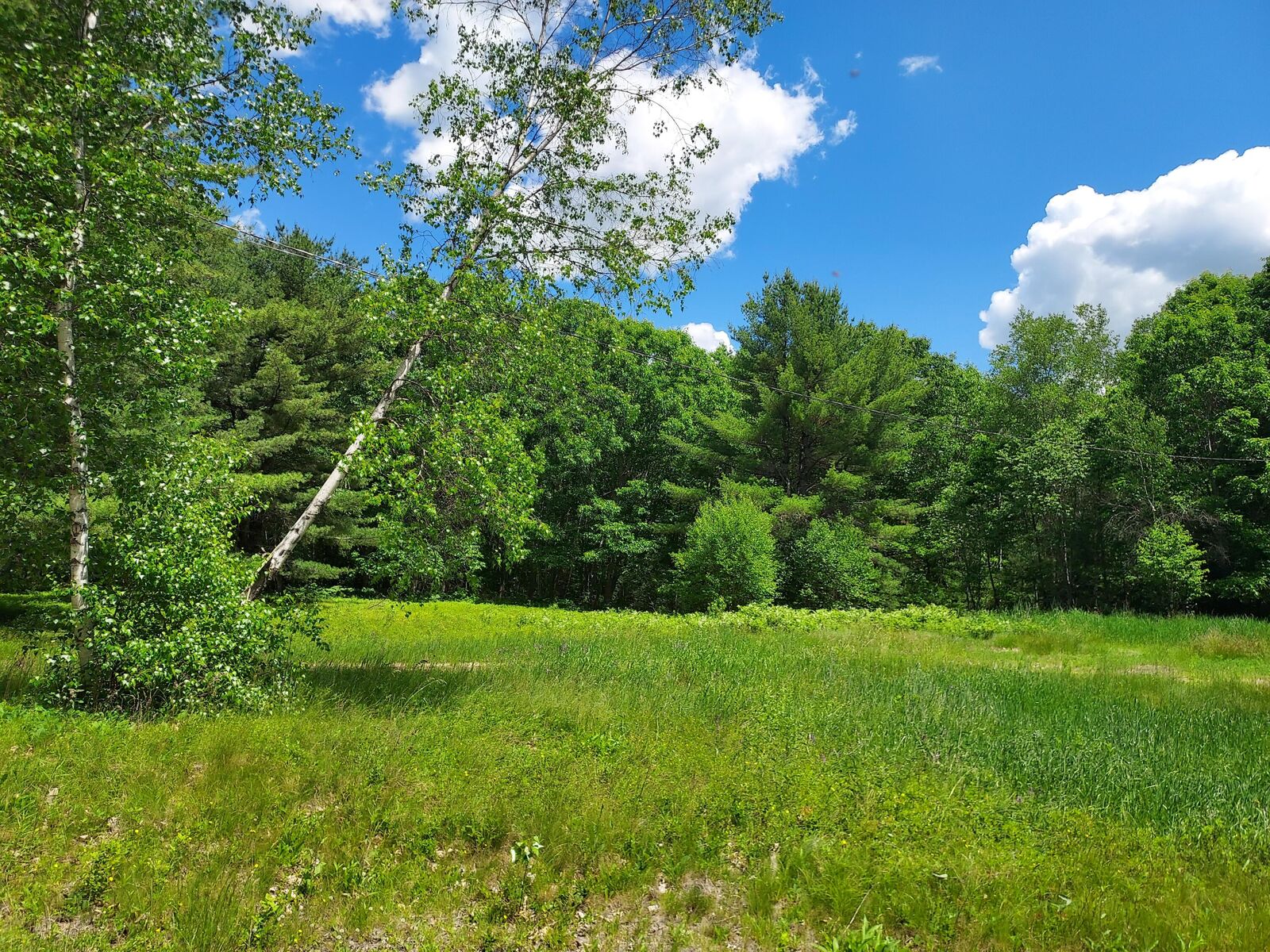 Property Photo:  30 Gulf Road  ME 04622 