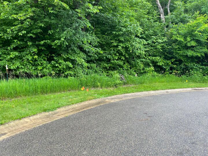 Property Photo:  Lot 11 Yorktown Court NE  MN 56308 
