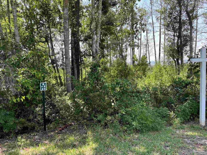 Property Photo: 1200 Cuddle Doon Ave FL 32583