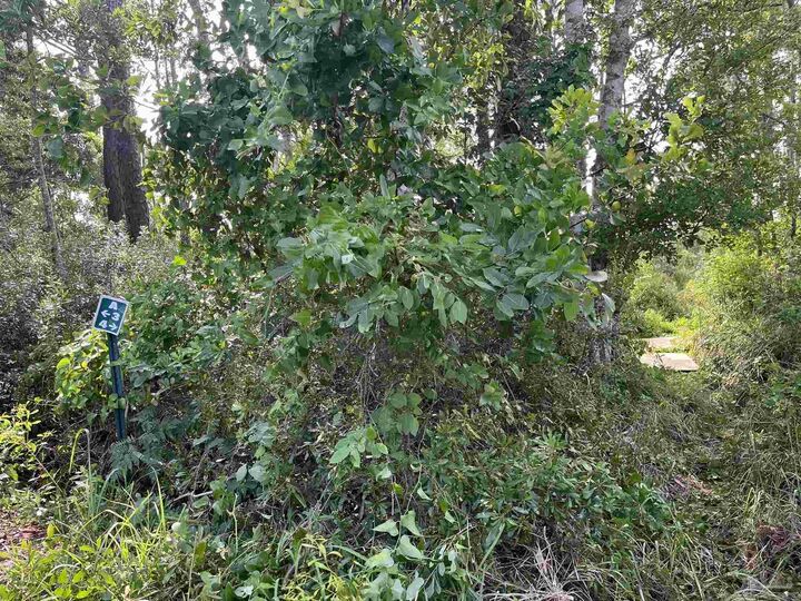 Property Photo:  1200 Cuddle Doon Ave  FL 32583 