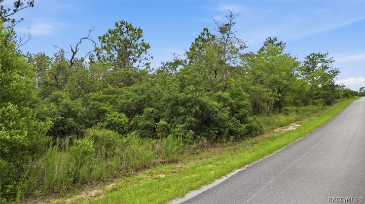 Property Photo: 0000 SW Plaza Court FL 34431