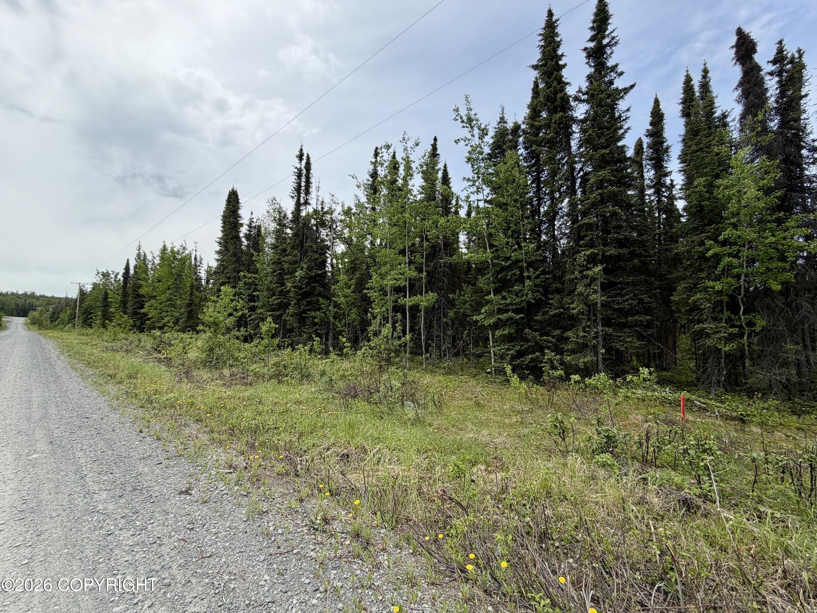 Property Photo:  L12a Goodyear Street  AK 99669 