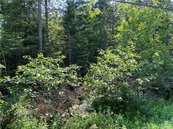 Lot 3 Route 490 — photo 1
