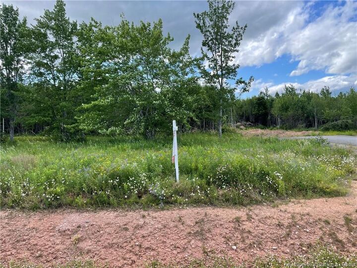 Lot 21-5 Fawcett Avenue — photo 1